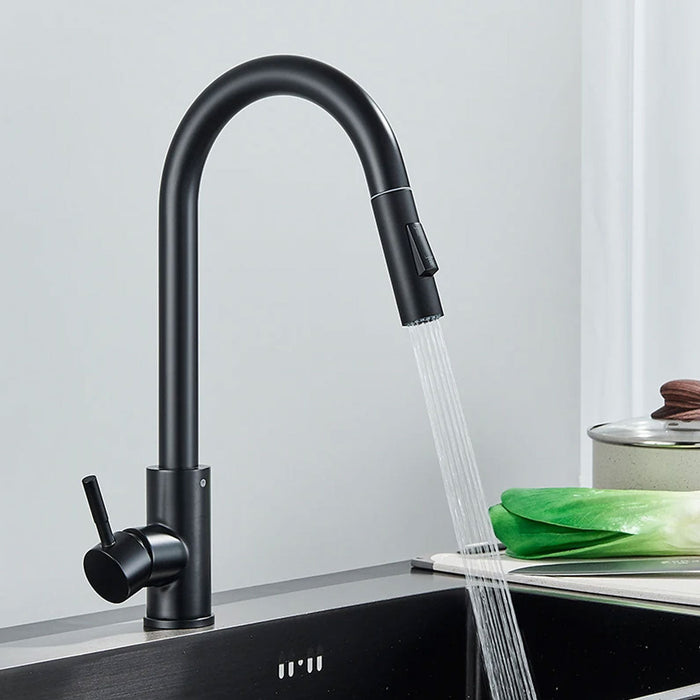 Contemporary Pullout Touch Sensitive Faucet