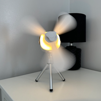 Portable Ceiling Fan