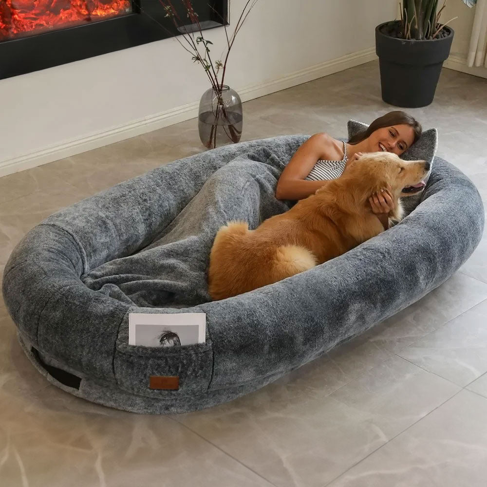 Biggest shops dog beds