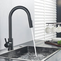 Contemporary Pullout Touch Sensitive Faucet