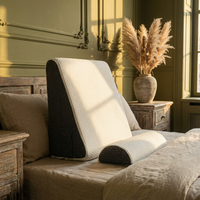 Deluxe Inclined Reflux Wedge Support Pillow