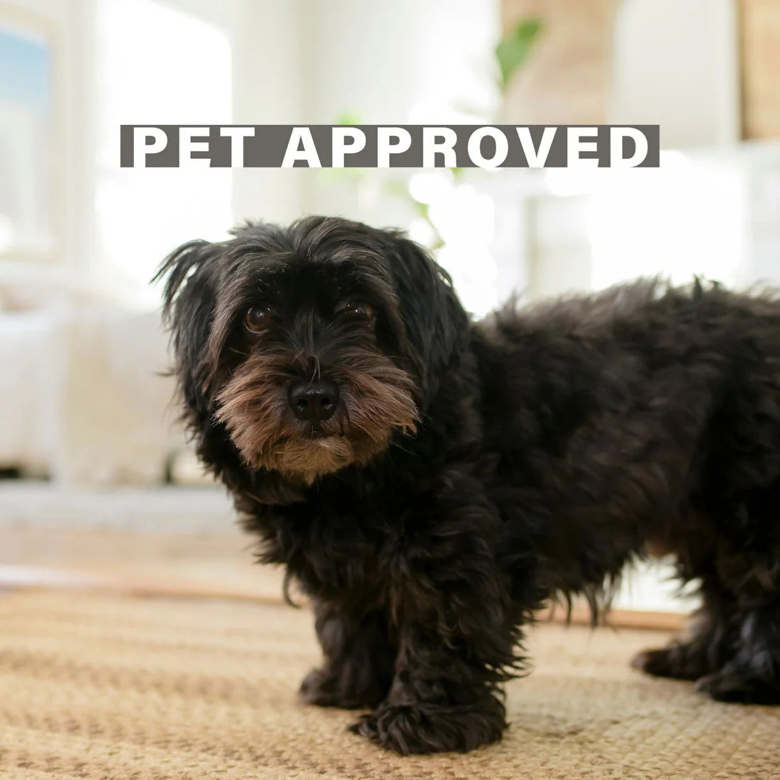 Natural Braided Jute Rug