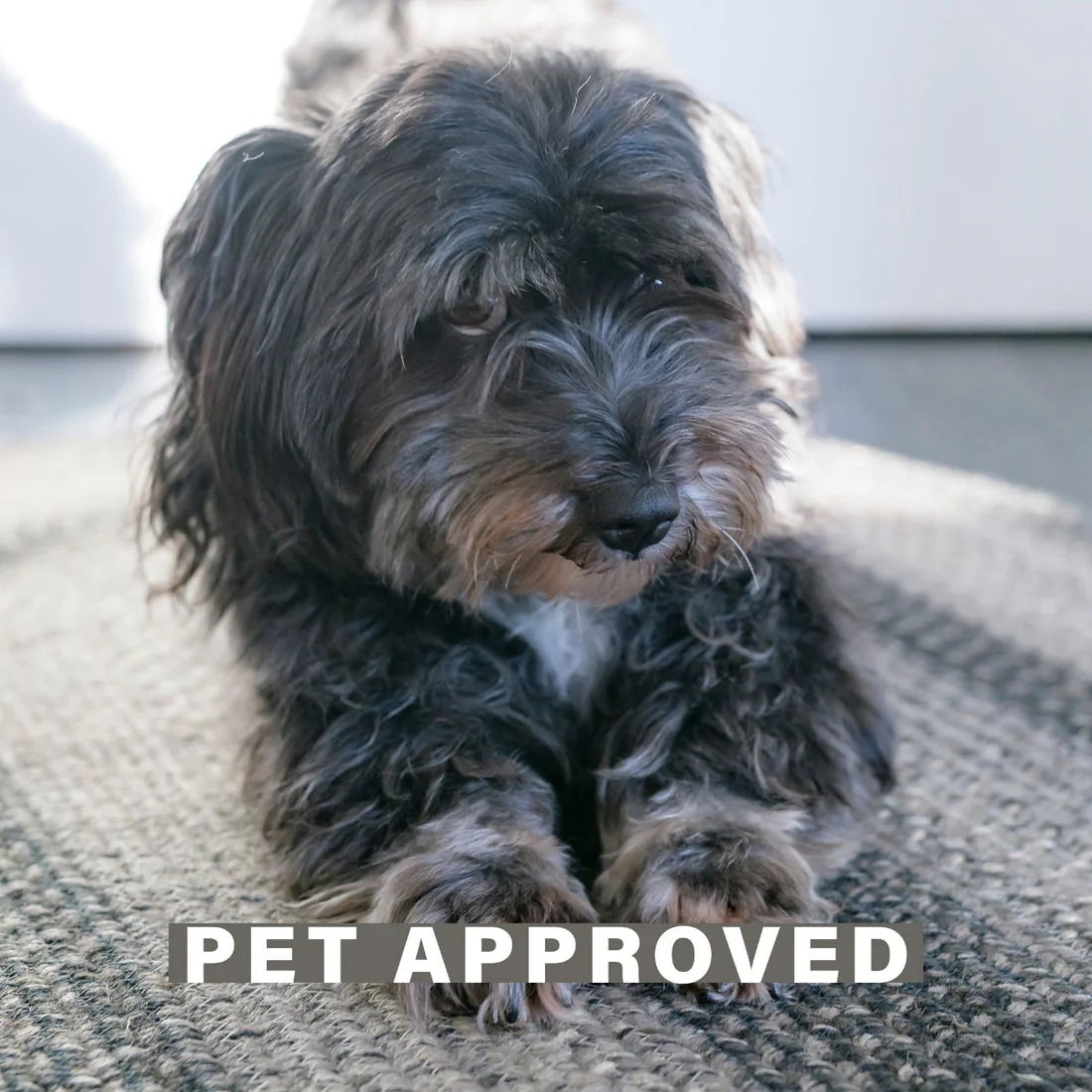 Flint Gray Braided Jute Accent Rug