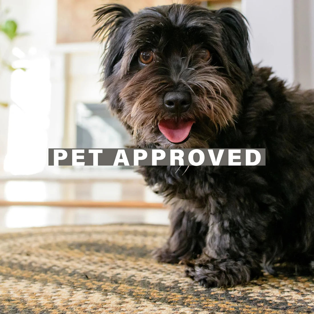 Kilimanjaro Black Braided Jute Rug