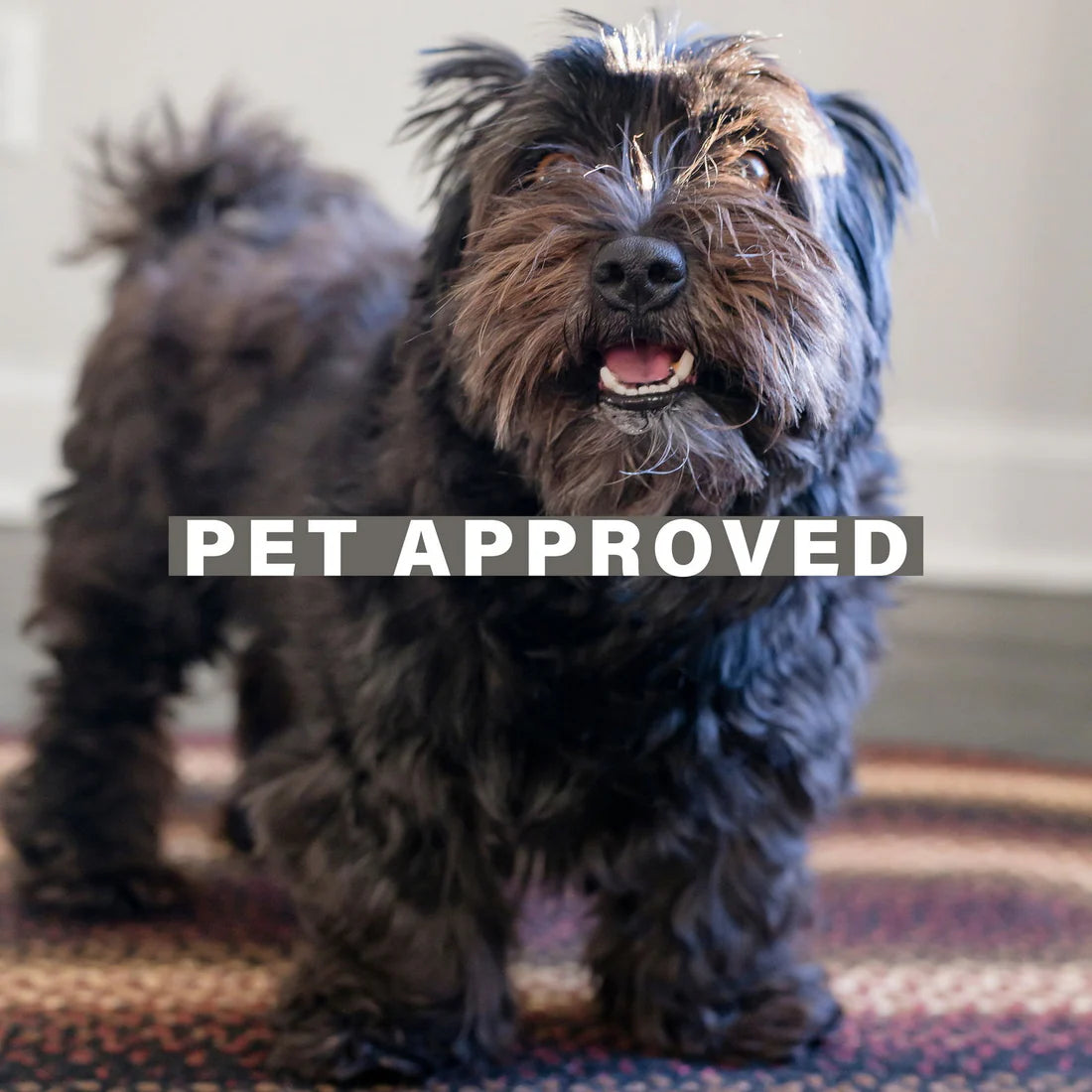 Harvest Red Multi Braided Jute Accent Rug