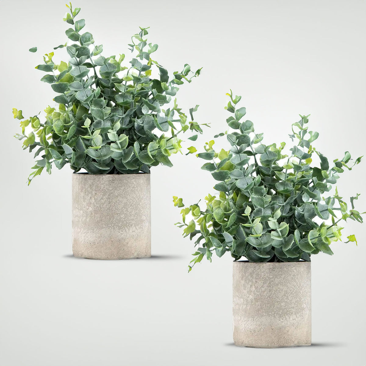 Set of 2 - Contemporary Indoor Artificial Plants