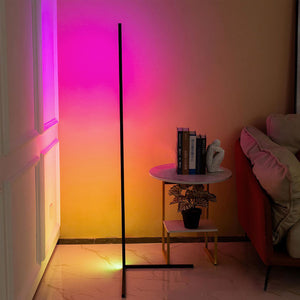 Modern Atmospheric LED Floor Lamp
